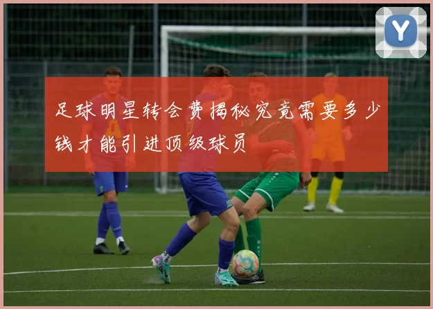足球明星转会费揭秘究竟需要多少钱才能引进顶级球员