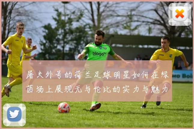 屠夫外号的荷兰足球明星如何在绿茵场上展现无与伦比的实力与魅力