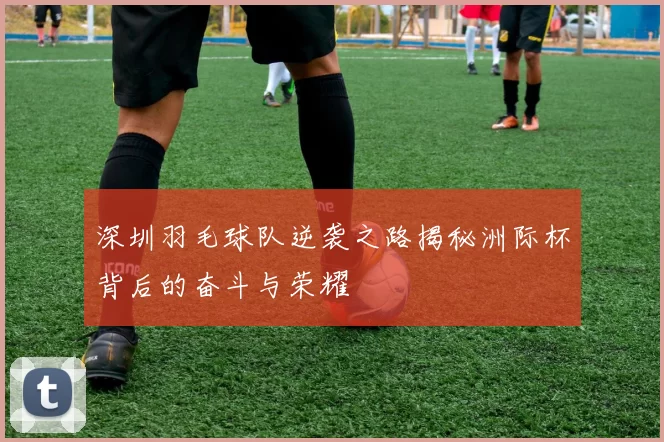 深圳羽毛球队逆袭之路揭秘洲际杯背后的奋斗与荣耀