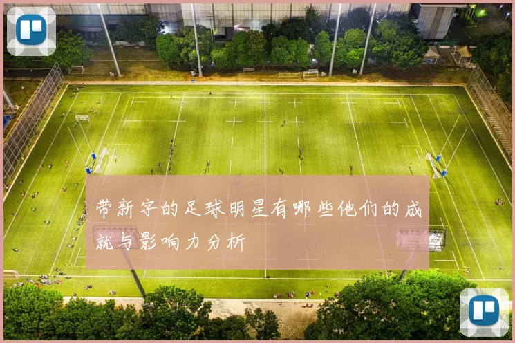 带新字的足球明星有哪些他们的成就与影响力分析