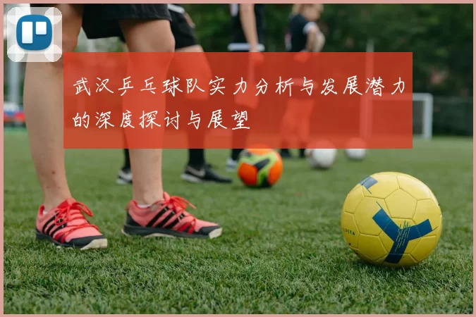 武汉乒乓球队实力分析与发展潜力的深度探讨与展望