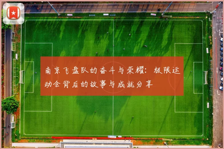 南京飞盘队的奋斗与荣耀：极限运动会背后的故事与成就分享