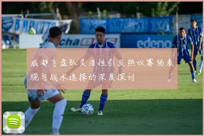 成都飞盘队灵活性引发热议赛场表现与战术选择的深度探讨