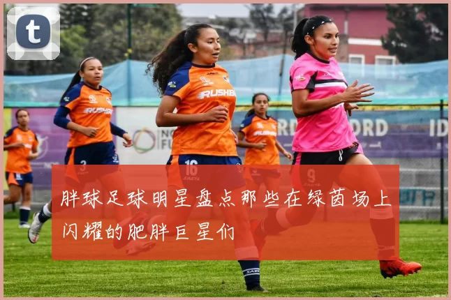 胖球足球明星盘点那些在绿茵场上闪耀的肥胖巨星们