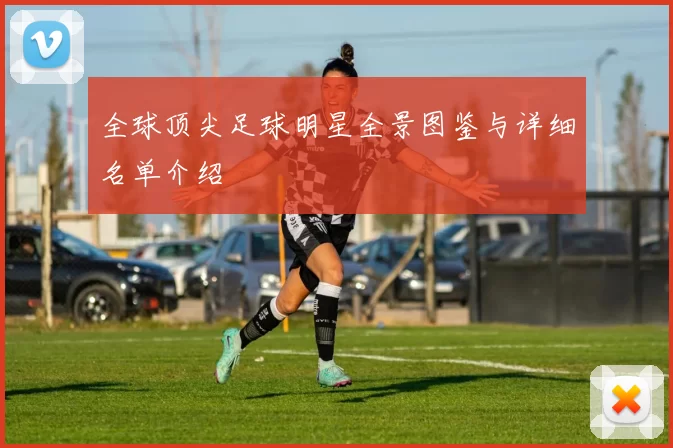 全球顶尖足球明星全景图鉴与详细名单介绍