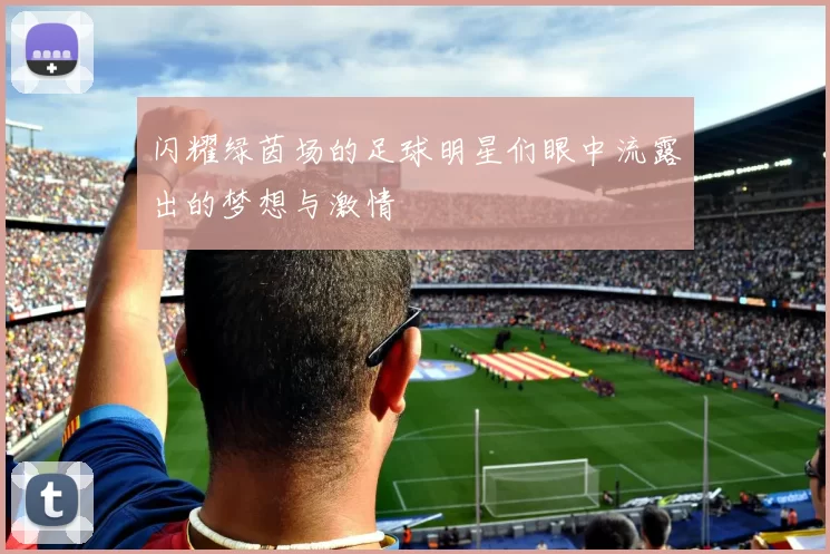 闪耀绿茵场的足球明星们眼中流露出的梦想与激情