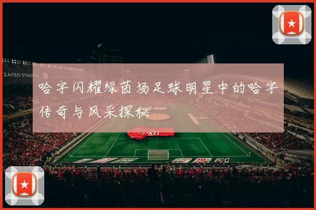哈字闪耀绿茵场足球明星中的哈字传奇与风采探秘