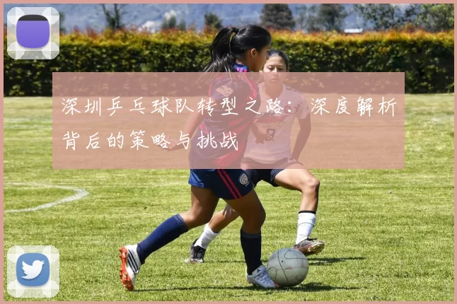 深圳乒乓球队转型之路：深度解析背后的策略与挑战