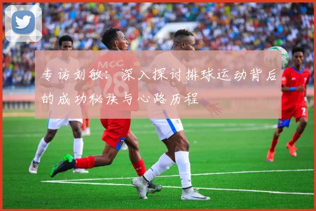 专访刘敏：深入探讨排球运动背后的成功秘诀与心路历程