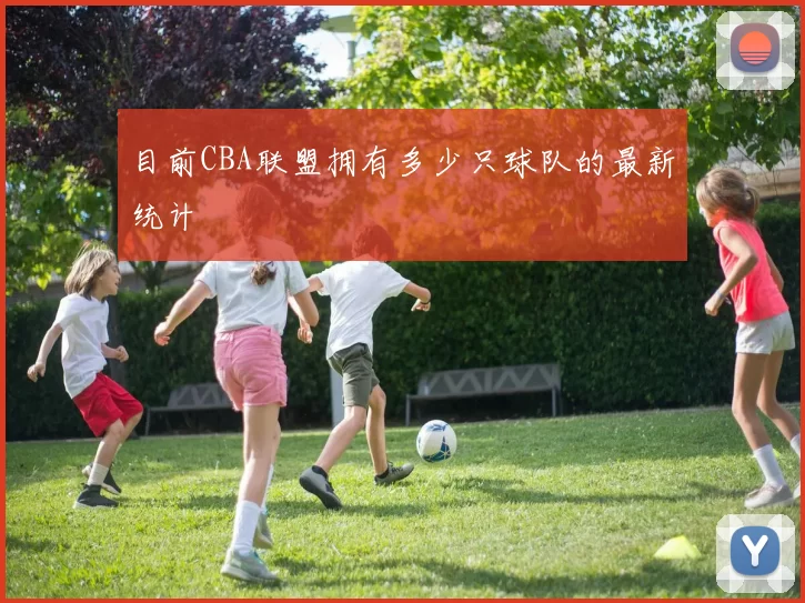 目前CBA联盟拥有多少只球队的最新统计