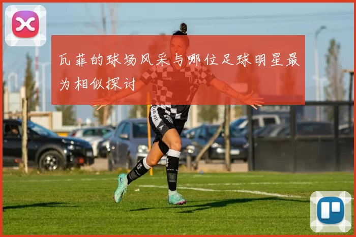 瓦菲的球场风采与哪位足球明星最为相似探讨