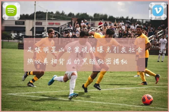 足球明星凶杀案视频曝光引发社会热议真相背后的黑暗秘密揭秘