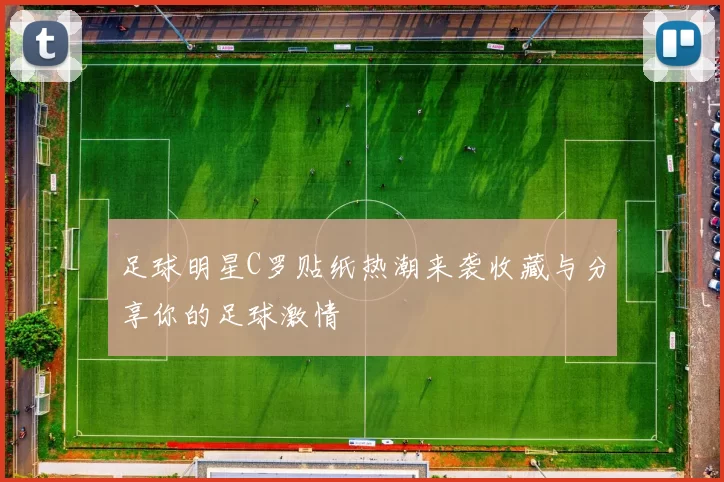 足球明星C罗贴纸热潮来袭收藏与分享你的足球激情