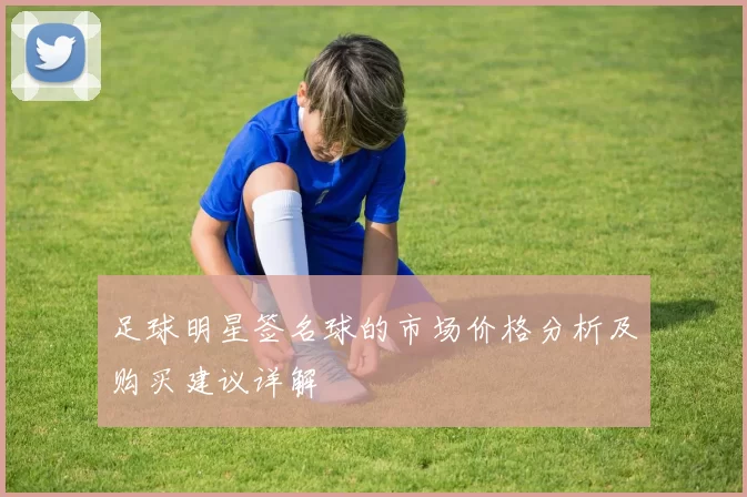足球明星签名球的市场价格分析及购买建议详解