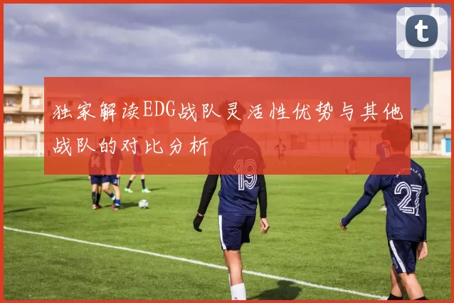 独家解读EDG战队灵活性优势与其他战队的对比分析
