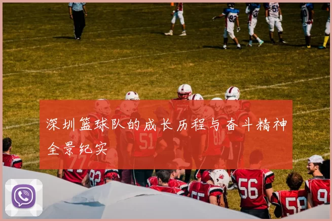 深圳篮球队的成长历程与奋斗精神全景纪实