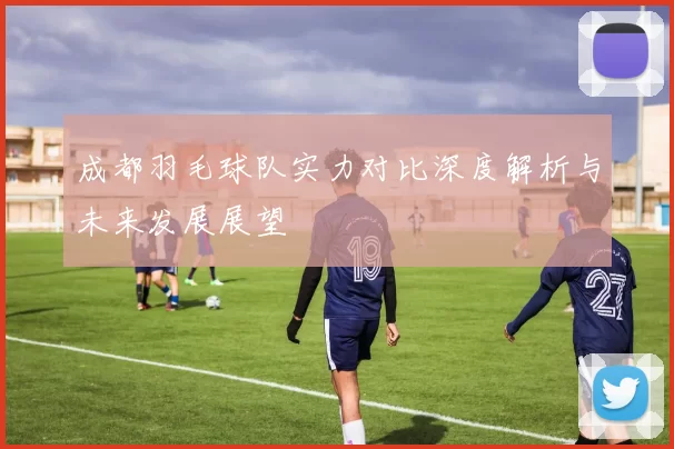 成都羽毛球队实力对比深度解析与未来发展展望