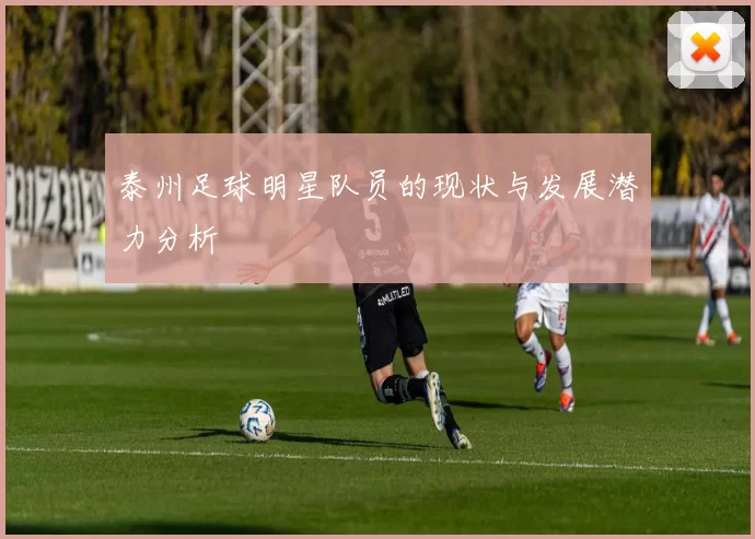 泰州足球明星队员的现状与发展潜力分析