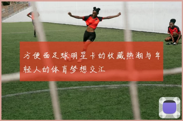方便面足球明星卡的收藏热潮与年轻人的体育梦想交汇