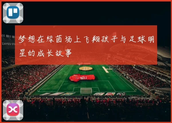 梦想在绿茵场上飞翔孩子与足球明星的成长故事